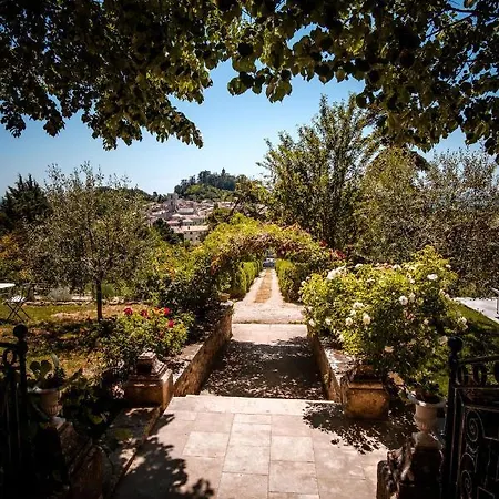 Provencal - Saint Marc *