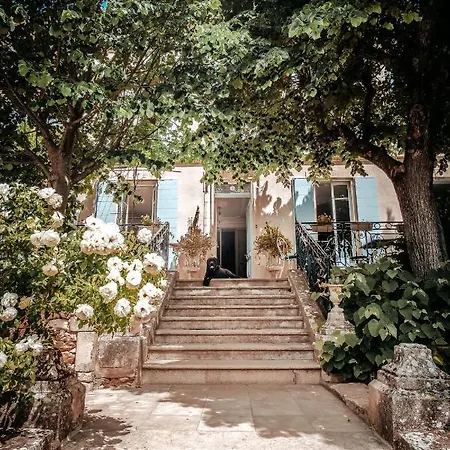 Provencal - Saint Marc Forcalquier