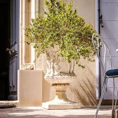 Provencal - Saint Marc