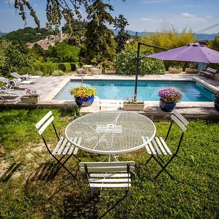 Provencal - Saint Marc