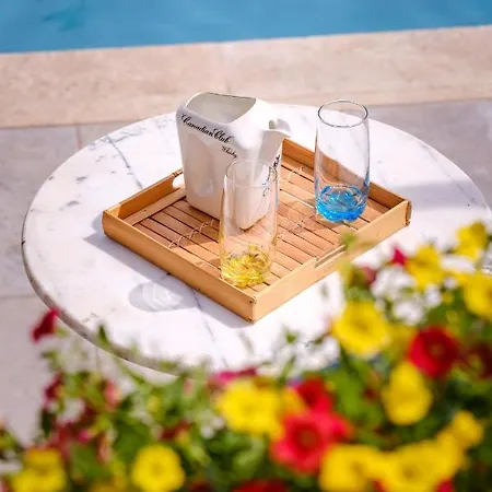 Provencal - Saint Marc *