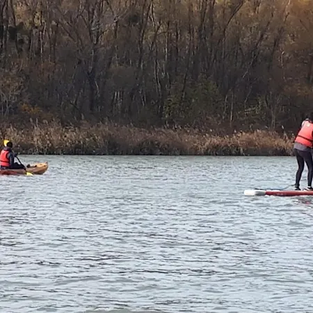 Provencal - Saint Marc