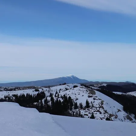 Provencal - Saint Marc * Forcalquier