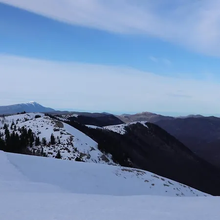 Provencal - Saint Marc *