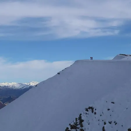 Provencal - Saint Marc