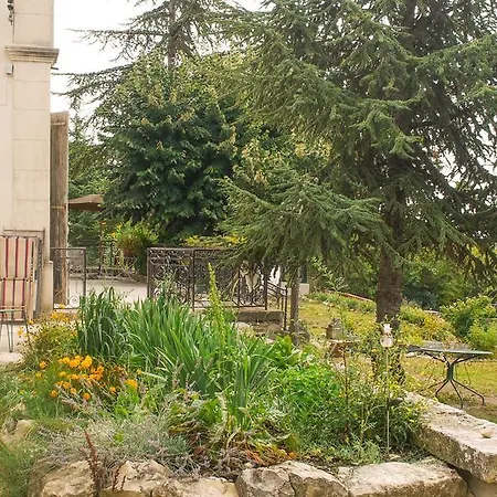 Provencal - Saint Marc *