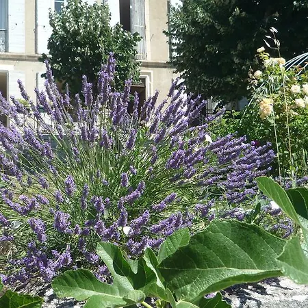 Dom wakacyjny Provencal - Saint Marc