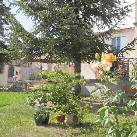 Provencal - Saint Marc *