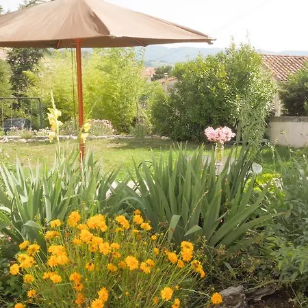 Provencal - Saint Marc Forcalquier