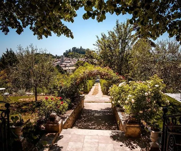 Provencal - Saint Marc *