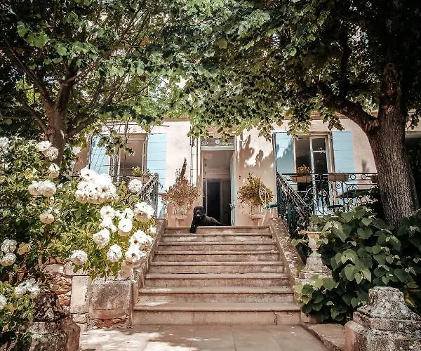 Provencal - Saint Marc Forcalquier