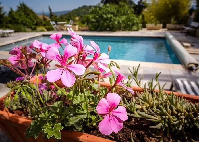 Provencal - Saint Marc Forcalquier