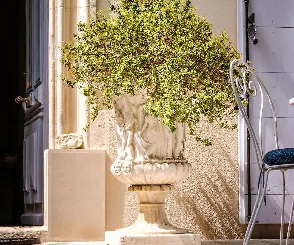 Provencal - Saint Marc