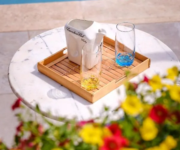 Provencal - Saint Marc *