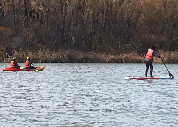 Provencal - Saint Marc