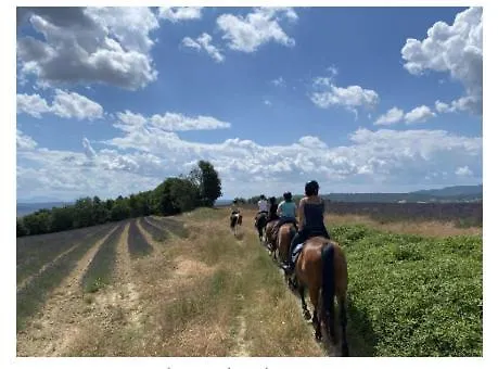 Provencal - Saint Marc * Forcalquier
