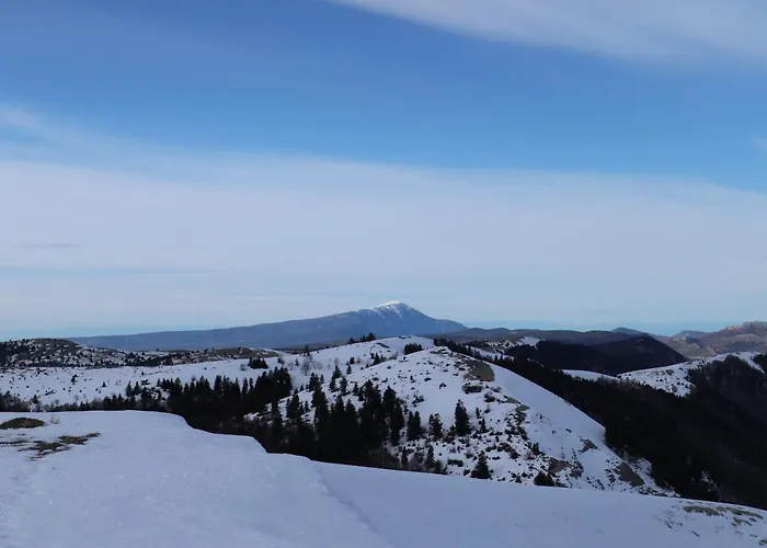 Provencal - Saint Marc * Forcalquier