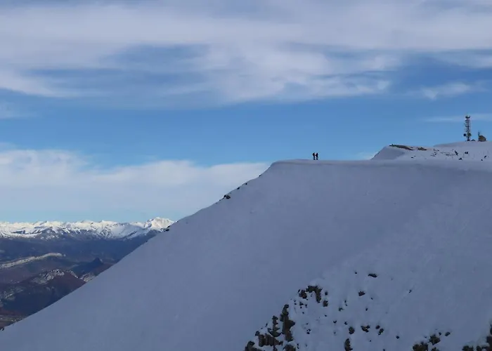 Provencal - Saint Marc