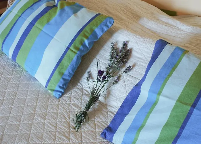 Holiday home Provencal - Saint Marc *