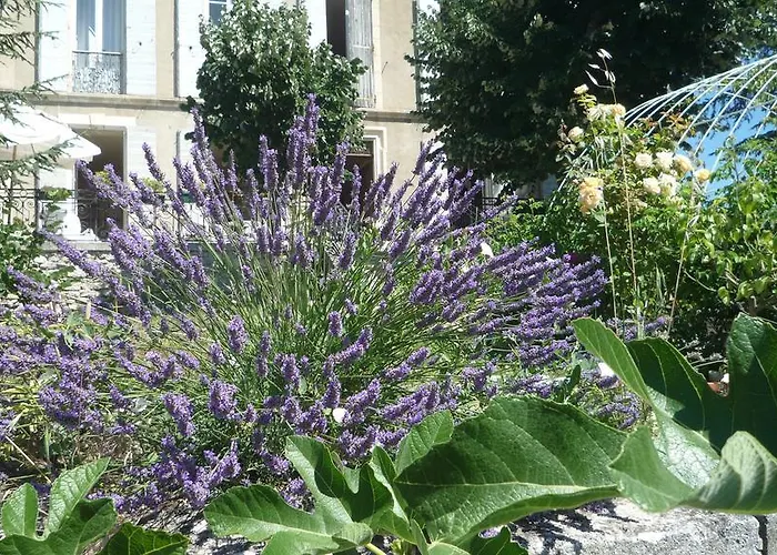 Holiday home Provencal - Saint Marc