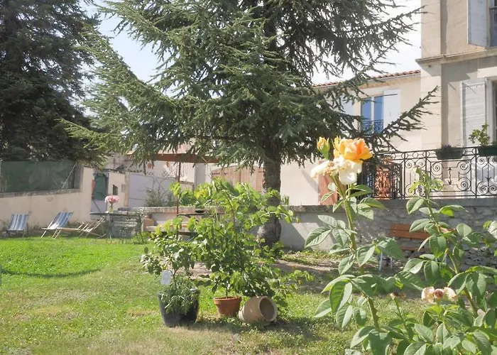 Provencal - Saint Marc *